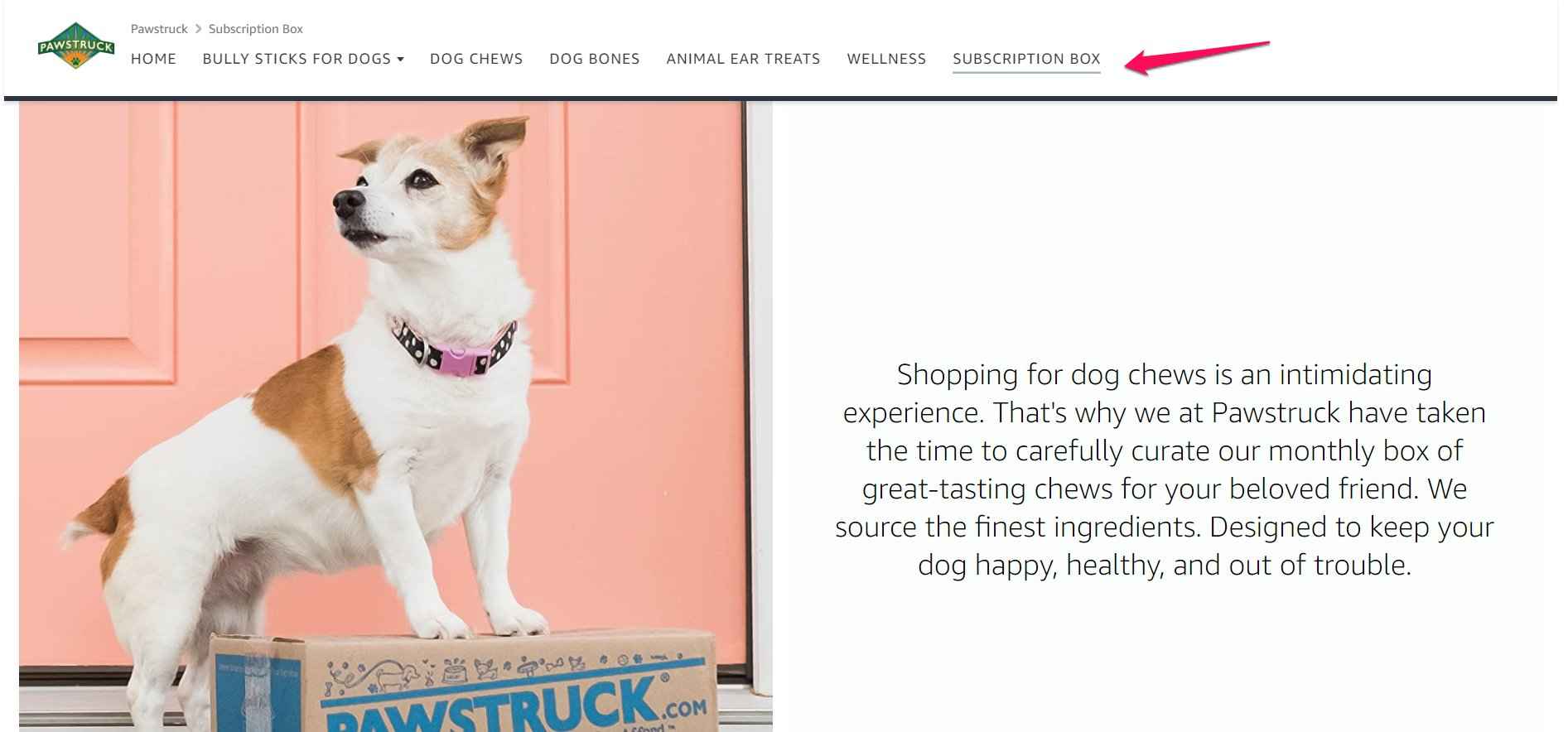 Amazon Storefront Example of Pawstruck showing off their subscription box tab as a single SKU promotion