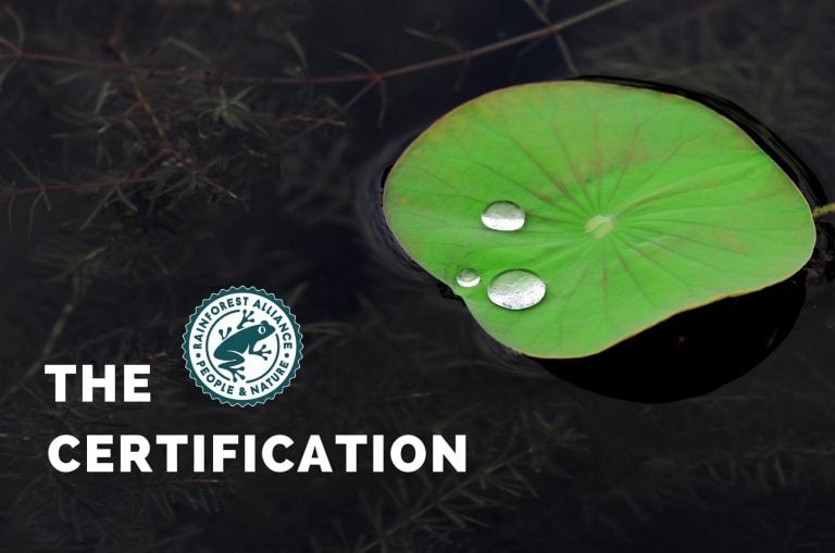 rainforest alliance certification