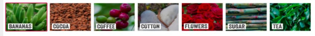 fairtrade top products