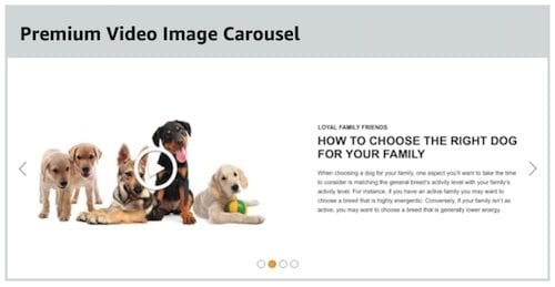 premium a+ video carousel on amazon