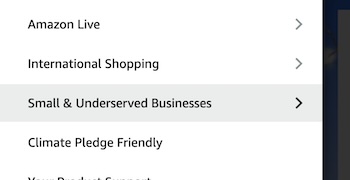 small and underserved businesses