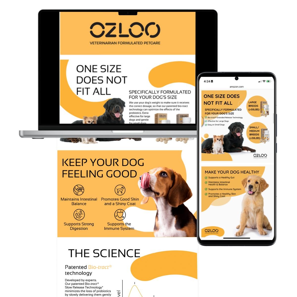 A+ content example for amazon listing optimization