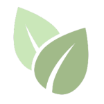 2 leaf outlines